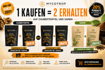 Mycotrop Aktion: 1 kaufen = 2 erhalten auf Magic Truffles und Cannabissamen