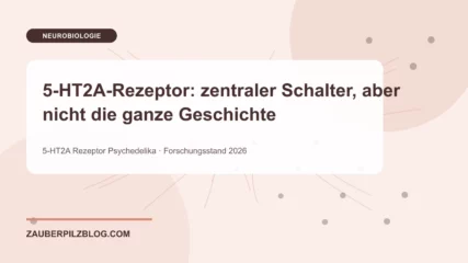 5-HT2A-Rezeptor: zentraler Schalter, aber nicht die ganze Geschichte – wissenschaftliche Übersicht mit Schlüsselbegriffen und Forschungsstand 2026