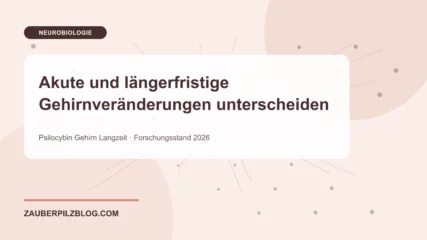 Akute und längerfristige Gehirnveränderungen unterscheiden – wissenschaftliche Übersicht mit Schlüsselbegriffen und Forschungsstand 2026
