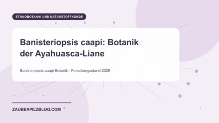 Banisteriopsis caapi: Botanik der Ayahuasca-Liane – wissenschaftliche Übersicht mit Schlüsselbegriffen und Forschungsstand 2026