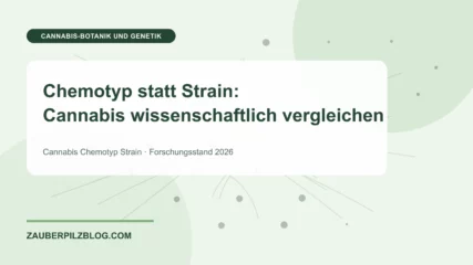 Chemotyp statt Strain: Cannabis wissenschaftlich vergleichen – wissenschaftliche Übersicht mit Schlüsselbegriffen und Forschungsstand 2026