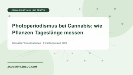 Photoperiodismus bei Cannabis: wie Pflanzen Tageslänge messen – wissenschaftliche Übersicht mit Schlüsselbegriffen und Forschungsstand 2026