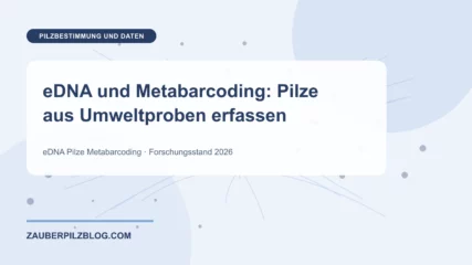eDNA und Metabarcoding: Pilze aus Umweltproben erfassen – wissenschaftliche Übersicht mit Schlüsselbegriffen und Forschungsstand 2026