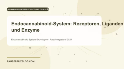 Endocannabinoid-System: Rezeptoren, Liganden und Enzyme – wissenschaftliche Übersicht mit Schlüsselbegriffen und Forschungsstand 2026