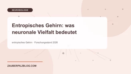 Entropisches Gehirn: was neuronale Vielfalt bedeutet – wissenschaftliche Übersicht mit Schlüsselbegriffen und Forschungsstand 2026