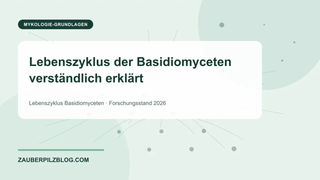Lebenszyklus der Basidiomyceten verständlich erklärt 1 Lebenszyklus der Basidiomyceten verständlich erklärt – wissenschaftliche Übersicht mit Schlüsselbegriffen und Forschungsstand 2026