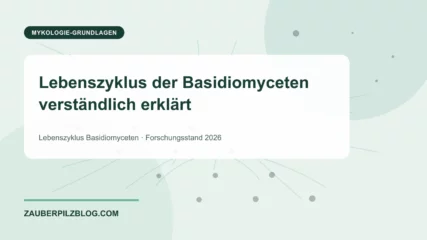 Lebenszyklus der Basidiomyceten verständlich erklärt – wissenschaftliche Übersicht mit Schlüsselbegriffen und Forschungsstand 2026