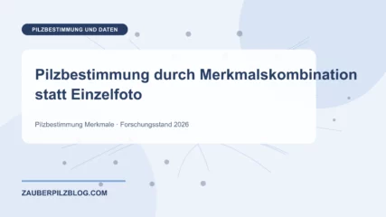 Pilzbestimmung durch Merkmalskombination statt Einzelfoto – wissenschaftliche Übersicht mit Schlüsselbegriffen und Forschungsstand 2026