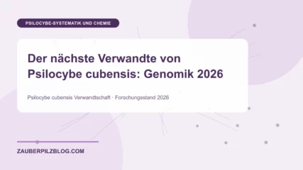 Der nächste Verwandte von Psilocybe cubensis: Genomik 2026 – wissenschaftliche Übersicht mit Schlüsselbegriffen und Forschungsstand 2026