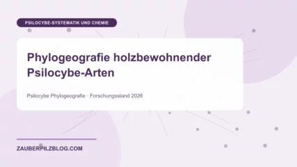 Phylogeografie holzbewohnender Psilocybe-Arten – wissenschaftliche Übersicht mit Schlüsselbegriffen und Forschungsstand 2026
