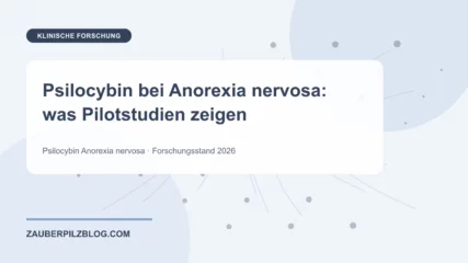 Psilocybin bei Anorexia nervosa: was Pilotstudien zeigen – wissenschaftliche Übersicht mit Schlüsselbegriffen und Forschungsstand 2026