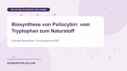 Biosynthese von Psilocybin: vom Tryptophan zum Naturstoff – wissenschaftliche Übersicht mit Schlüsselbegriffen und Forschungsstand 2026