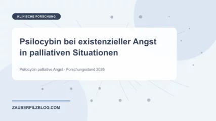 Psilocybin bei existenzieller Angst in palliativen Situationen – wissenschaftliche Übersicht mit Schlüsselbegriffen und Forschungsstand 2026