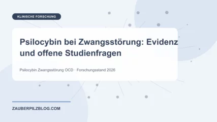 Psilocybin bei Zwangsstörung: Evidenz und offene Studienfragen – wissenschaftliche Übersicht mit Schlüsselbegriffen und Forschungsstand 2026