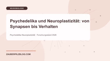 Psychedelika und Neuroplastizität: von Synapsen bis Verhalten – wissenschaftliche Übersicht mit Schlüsselbegriffen und Forschungsstand 2026