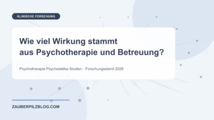 Wie viel Wirkung stammt aus Psychotherapie und Betreuung? – wissenschaftliche Übersicht mit Schlüsselbegriffen und Forschungsstand 2026