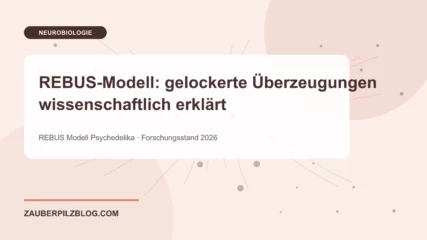 REBUS-Modell: gelockerte Überzeugungen wissenschaftlich erklärt – wissenschaftliche Übersicht mit Schlüsselbegriffen und Forschungsstand 2026