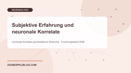 Subjektive Erfahrung und neuronale Korrelate – wissenschaftliche Übersicht mit Schlüsselbegriffen und Forschungsstand 2026