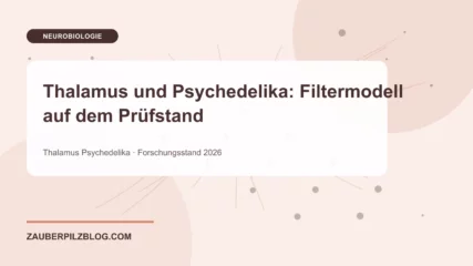 Thalamus und Psychedelika: Filtermodell auf dem Prüfstand – wissenschaftliche Übersicht mit Schlüsselbegriffen und Forschungsstand 2026
